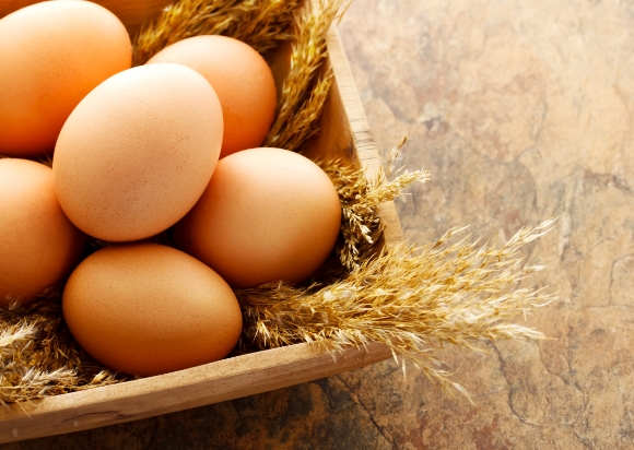 雞蛋品質分選生產